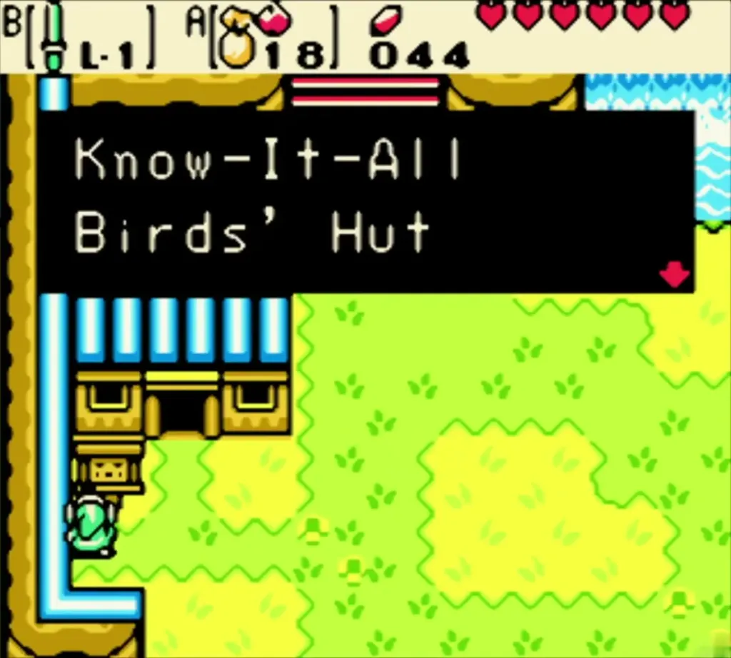 Link reading the Know-It-All Birds' Hut sign Link reading the Know-It-All Birds' Hut sign