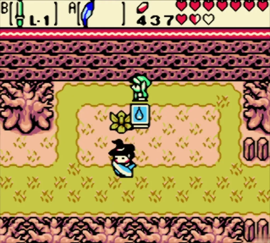 Link with the Touching Book icon above him as Maple swoops in Link with the Touching Book icon above him as Maple swoops in