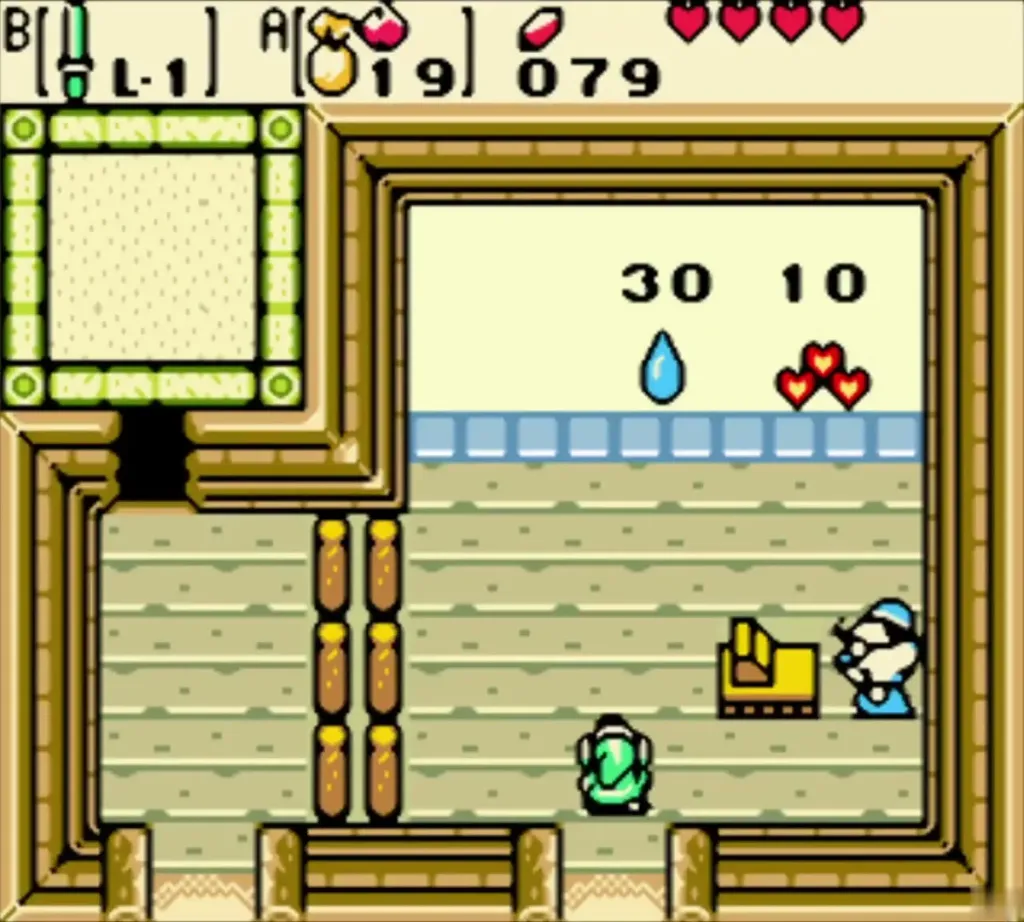 Link inside the Lynna City shop in front of the Gasha Seed priced at 30 Rupees Link inside the Lynna City shop in front of the Gasha Seed priced at 30 Rupees