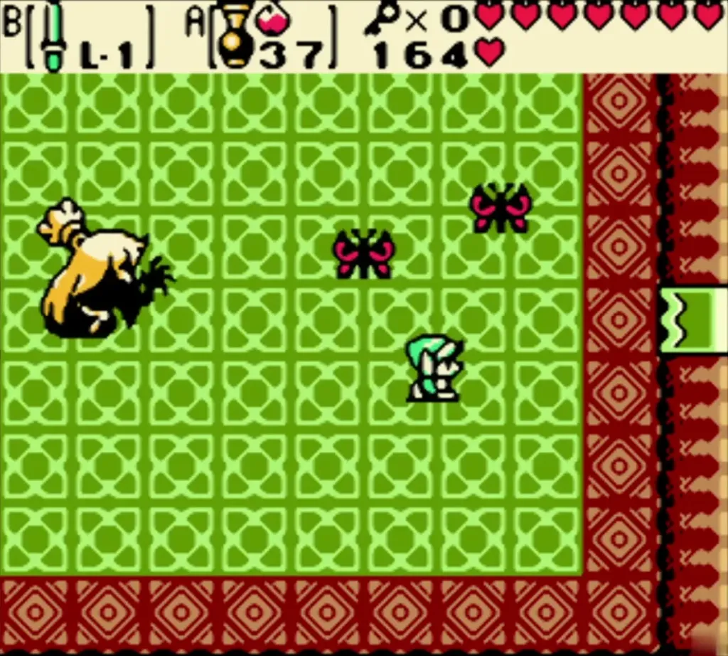 Shadow Hag reappearing on the left of the room while moths circle Link Shadow Hag reappearing on the left of the room while moths circle Link
