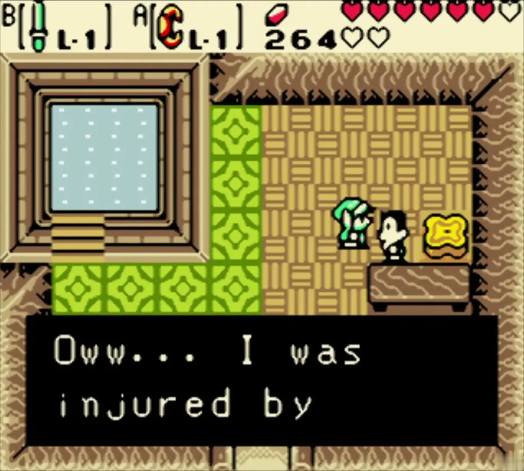 The injured brother says he was hurt by a rock from the volcano The injured brother says he was hurt by a rock from the volcano