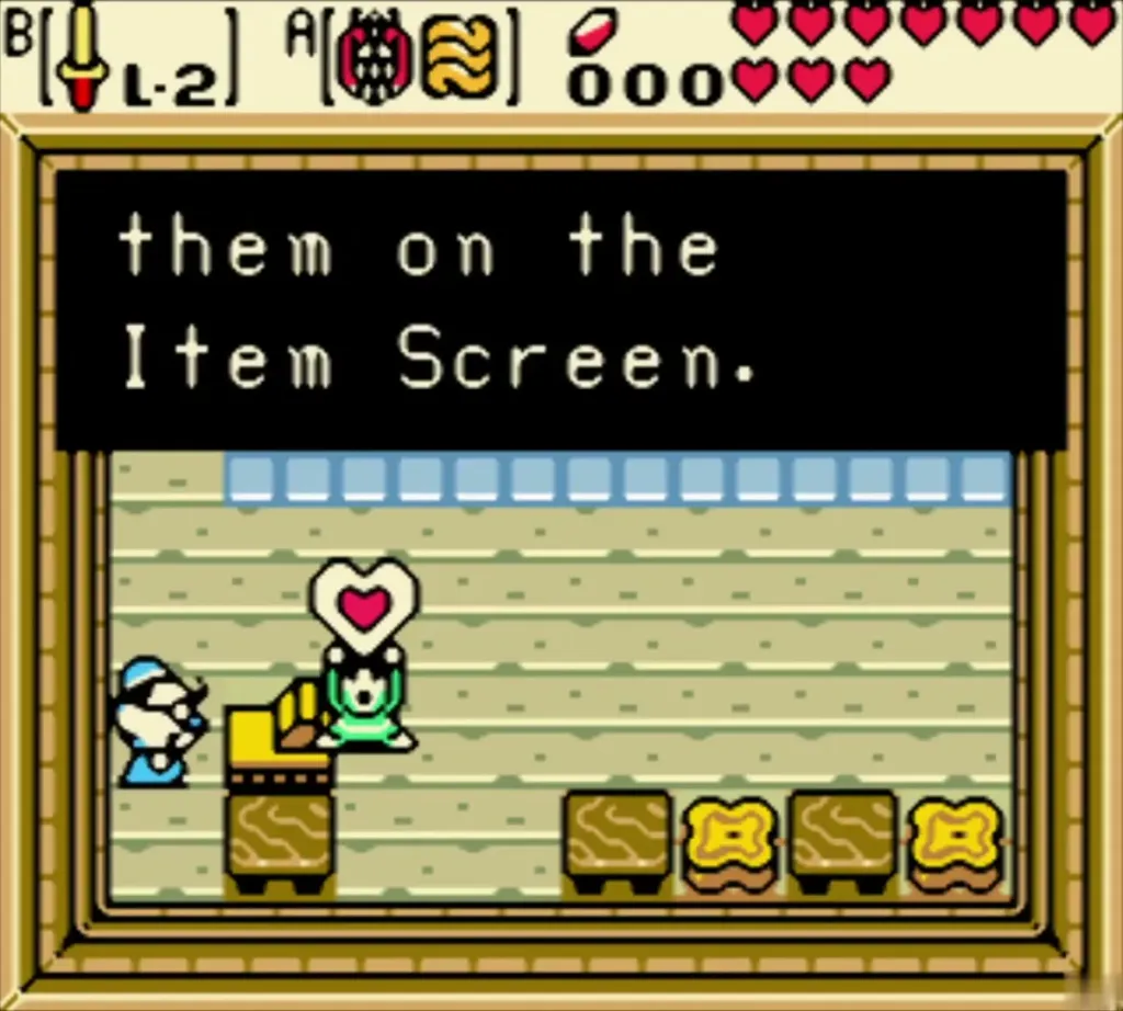 Link with the heart overhead as the extra Heart Container message finishes Link with the heart overhead as the extra Heart Container message finishes