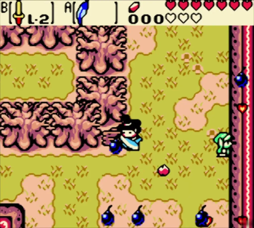 Maple flying in over scattered items while Link waits at the edge Maple flying in over scattered items while Link waits at the edge