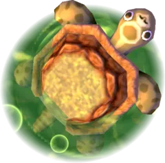 Baby Turtle