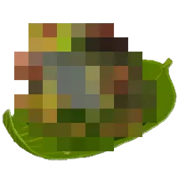 Akkala Buns