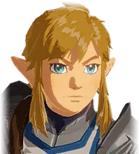 Link