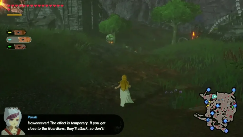 Zelda walks across the field as Purah warns that the Guardians will attack if you get close Zelda walks across the field as Purah warns that the Guardians will attack if you get close