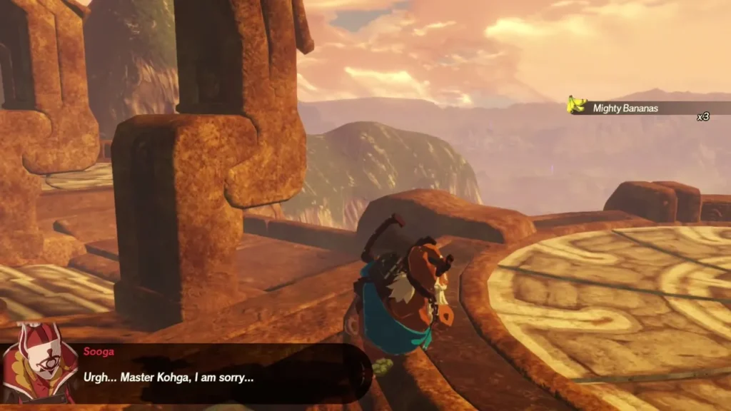 Sooga apologizes to Master Kohga in the text box as Link stands on the stone arena Sooga apologizes to Master Kohga in the text box as Link stands on the stone arena