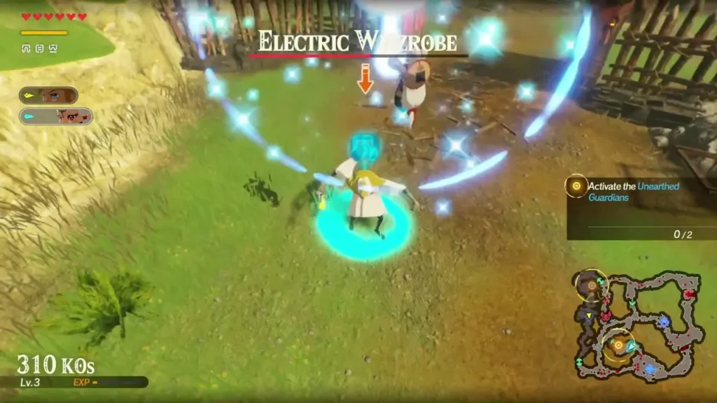 A warrior fights the Electric Wizzrobe on the grass, its name bar shown at the top A warrior fights the Electric Wizzrobe on the grass, its name bar shown at the top