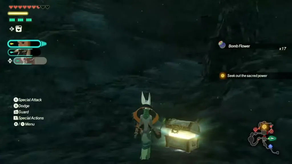 A chest gives 17 Bomb Flowers in the dark Depths