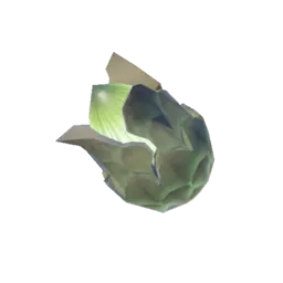 Brightbloom Seed