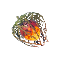 Fire Fruit