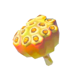 Fleet-Lotus Seeds