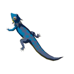 Hearty Lizard