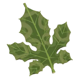 Korok Frond