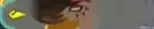 Raphica