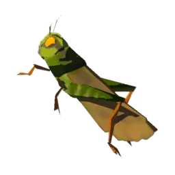 Restless Cricket