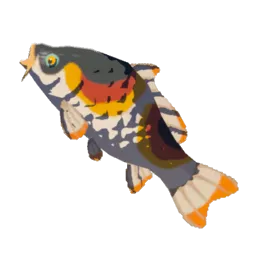 Sanke Carp