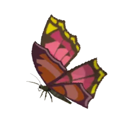 Summerwing Butterfly
