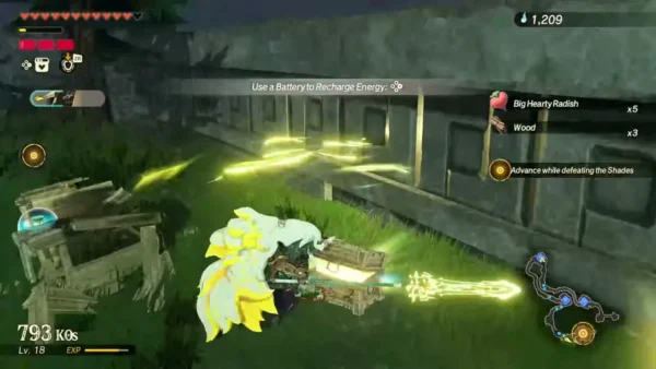 Big Hearty Radish x5 appears as Rauru opens a chest beside the wall