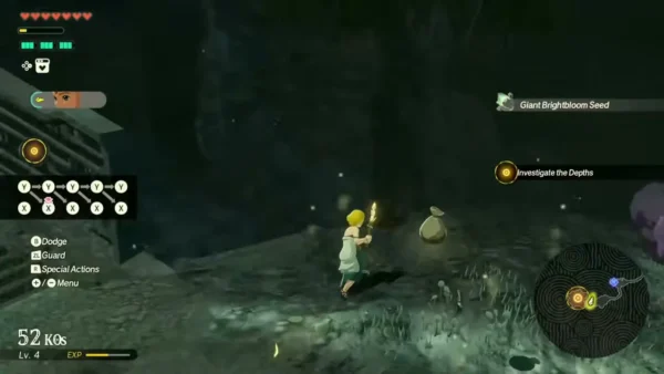 A Giant Brightbloom Seed pickup appears as Zelda walks past a dropped bag