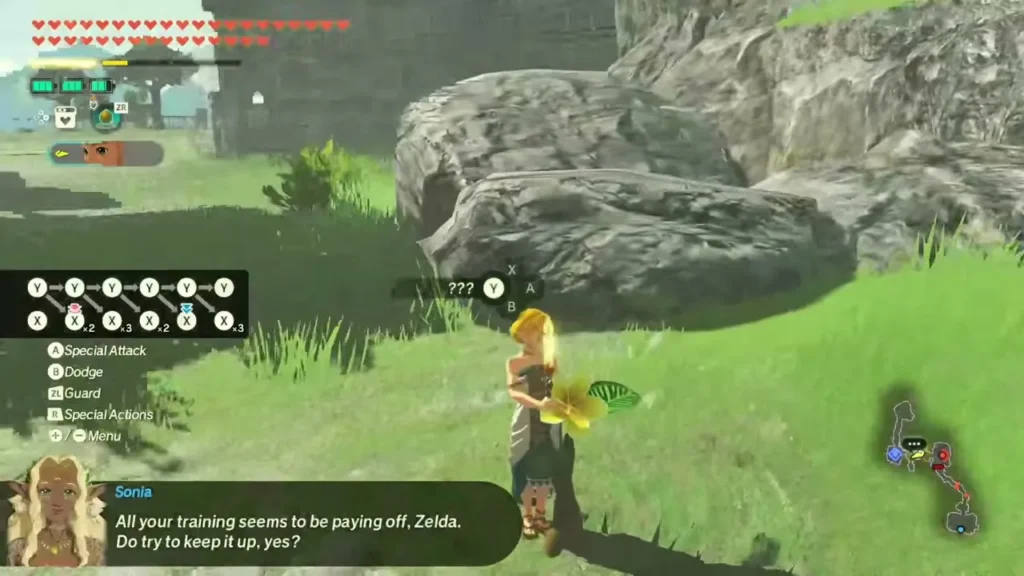 Zelda stands beside a rock at the fork as the Interact prompt appears at a yellow Korok flower