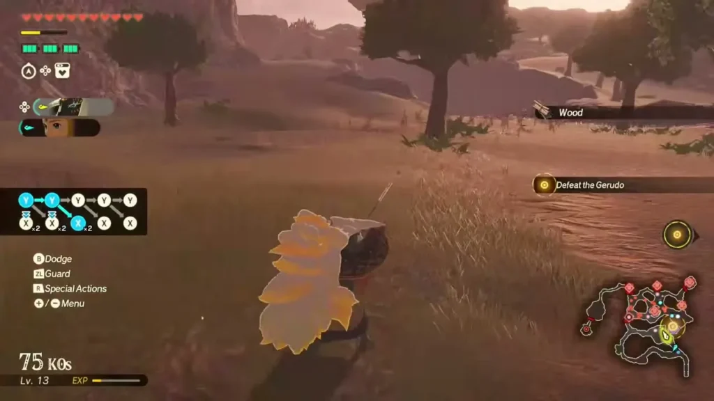 A warrior battles across a field and picks up Wood in the Hyrule Castle battle A warrior battles across a field and picks up Wood in the Hyrule Castle battle