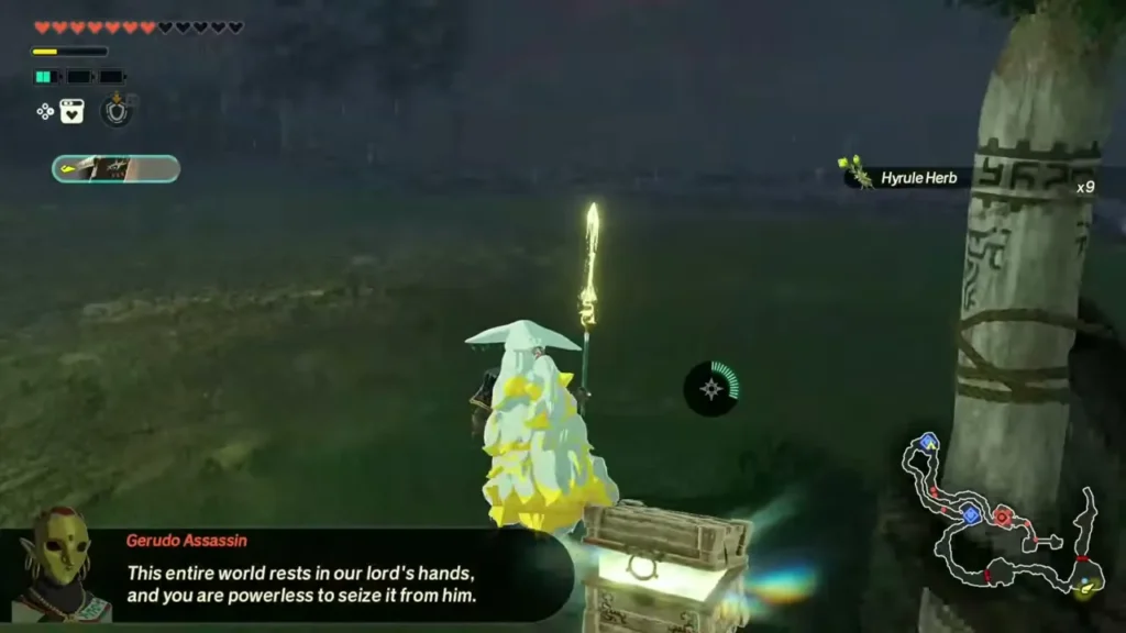 Rauru opens a chest by a fence and Hyrule Herb x9 appears