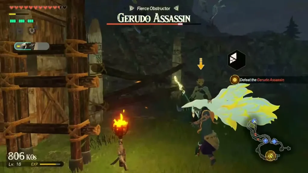 Rauru closes in on the Gerudo Assassin beside a torch at the wooden barricade