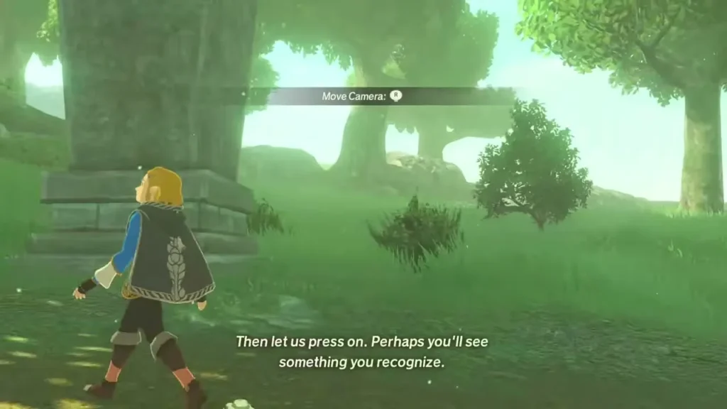Zelda walks the forest path beside a mossy stone pillar Zelda walks the forest path beside a mossy stone pillar