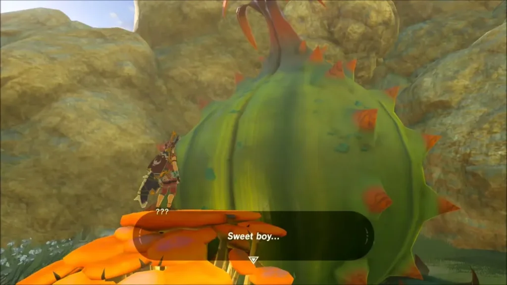 Link meeting the dormant Great Fairy bud at Kayasa Fountain