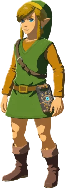 Link wearing the Armor of the Hero Link wearing the Armor of the Hero