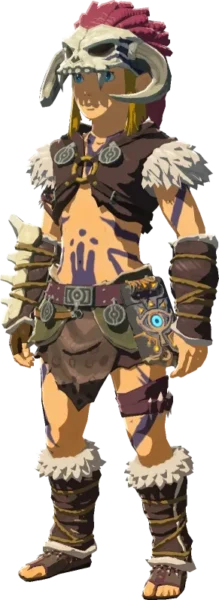 Link wearing the Barbarian Set Link wearing the Barbarian Set