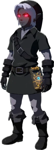Link wearing the Dark Set Link wearing the Dark Set