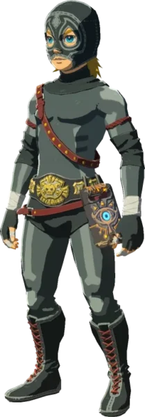 Link wearing the Radiant Set Link wearing the Radiant Set
