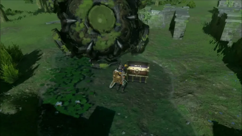 Chest freed beside the pond below the decayed Guardian Chest freed beside the pond below the decayed Guardian