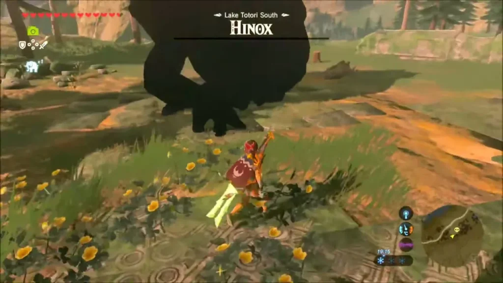 Link stepping back through flowers as the Hinox looms behind