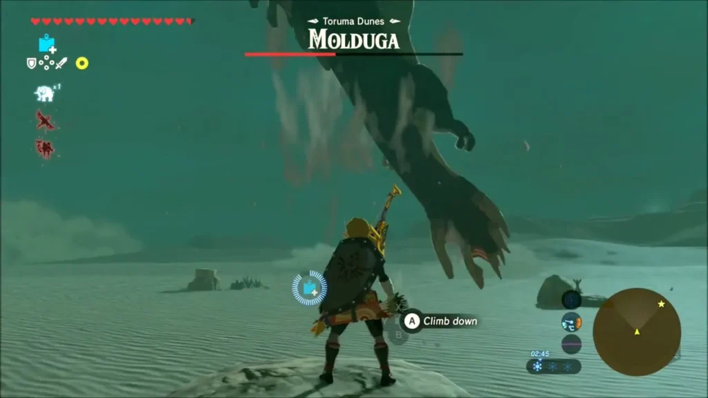 Molduga's claw rising from the sand beside Link as he stays perched on his rock Molduga's claw rising from the sand beside Link as he stays perched on his rock