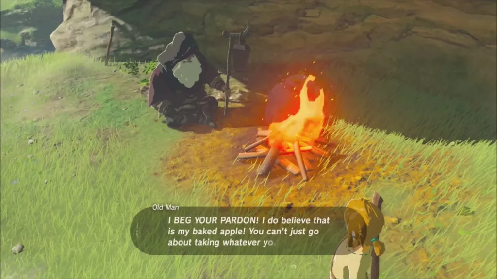 The Old Man sitting by his campfire, scolding Link over his baked apple