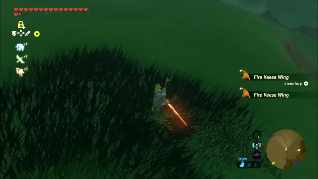 Fire Keese Wings collected in the grass after the Keese is defeated Fire Keese Wings collected in the grass after the Keese is defeated