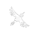 Vah Medoh