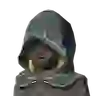 Hylian Hood