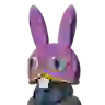 Ravio's Hood