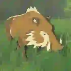 Woodland Boar