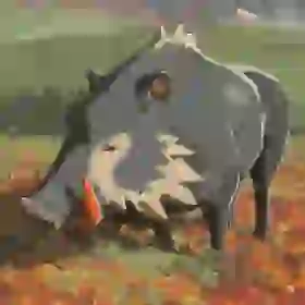 Red-Tusked Boar