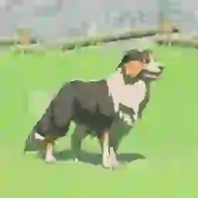 Hylian Retriever