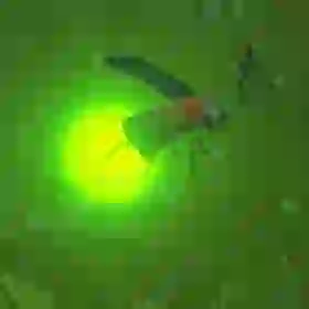Sunset Firefly