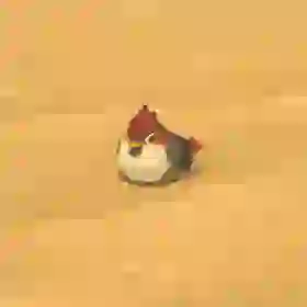 Sand Sparrow