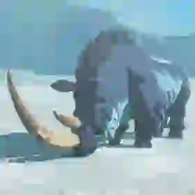 Great-Horned Rhinoceros
