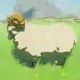 Highland Sheep